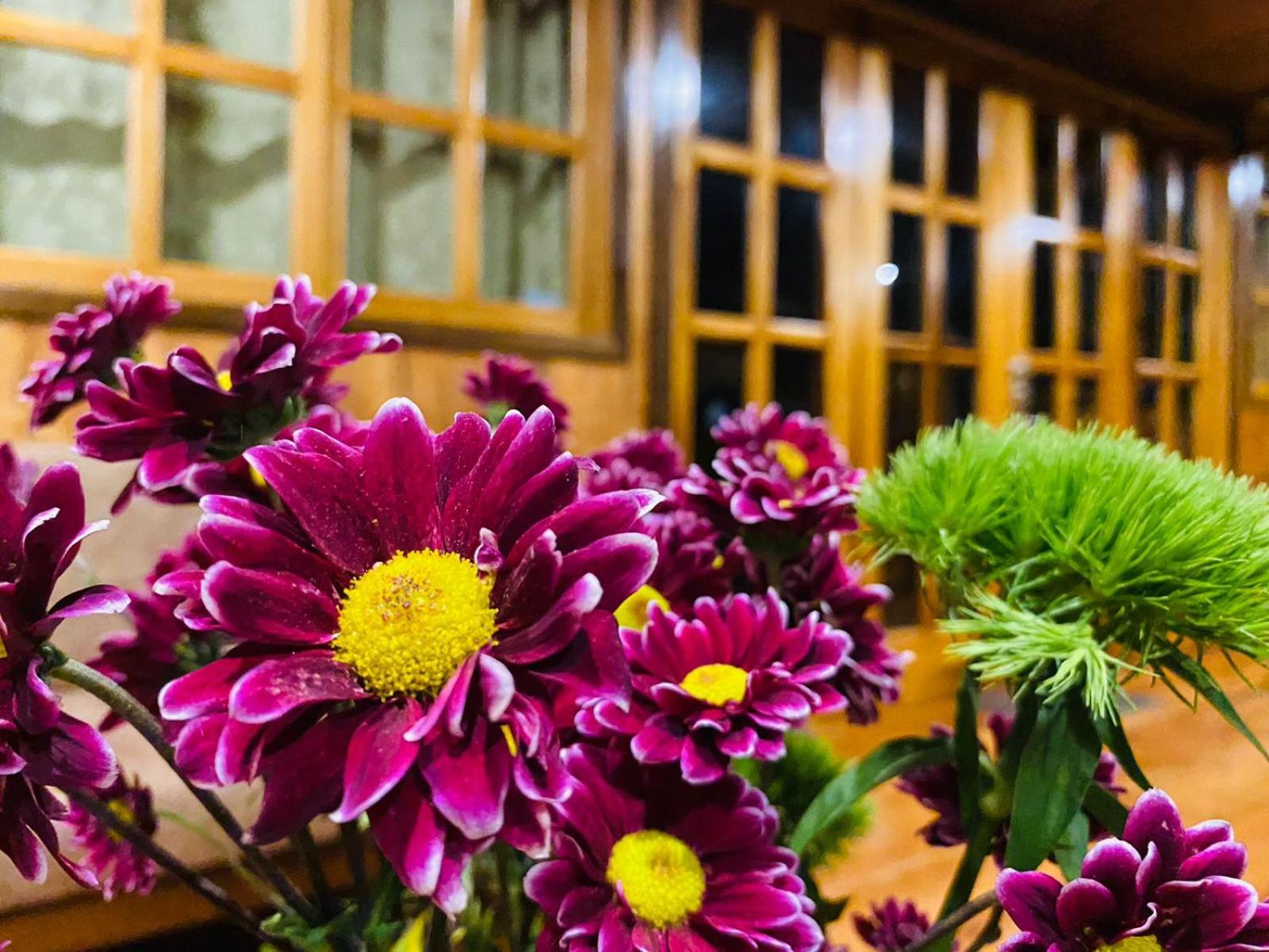 Guayabo Hostal Mindo Zewnętrze zdjęcie